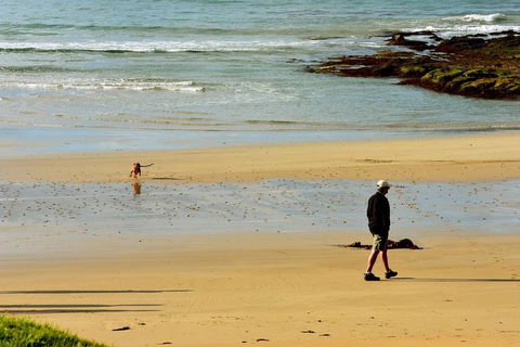 Ultimate Reverse Direction - 12 Apostles, Great Ocean Road - Small Group Tour - Accommodation Sunshine Coast 1