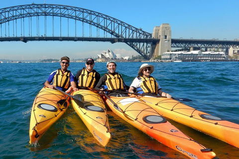 Kayak To Goat Island In Sydney Harbour With Local - Accommodation Sunshine Coast 5