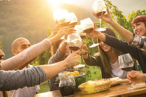 Yarra Valley, Dandenong Ranges Inc. Lunch With Wine,plus Morning Tea,chocolate - Accommodation Sunshine Coast 4