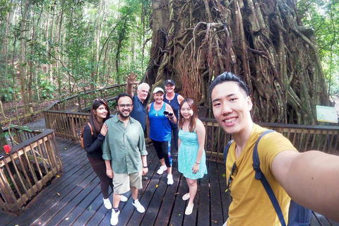 Barron Gorge And Kuranda National Park Half Day Rainforest And Waterfall 4WD Tour From Cairns - Accommodation Sunshine Coast 5