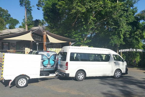 Airport Transfer To Or From Cairns Hotels For Up To 13 People - Accommodation Sunshine Coast 4