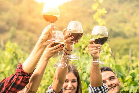 Adelaide Hills Day Tour. Winery Cellar Doors - Accommodation Sunshine Coast 0