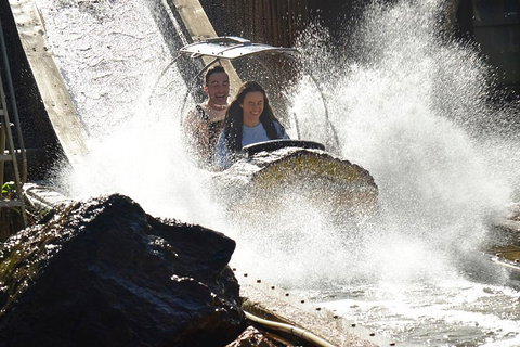 Theme Park Transfer From Brisbane - Accommodation Sunshine Coast 1