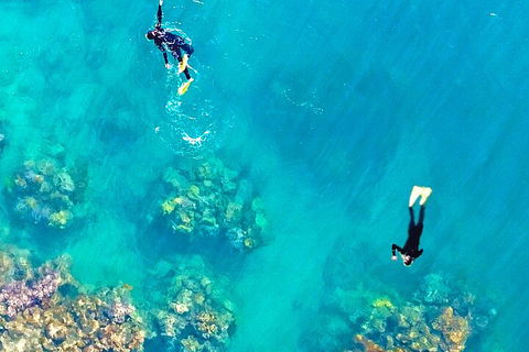 Fly & Cruise - Seaplane Package - Accommodation Sunshine Coast 1
