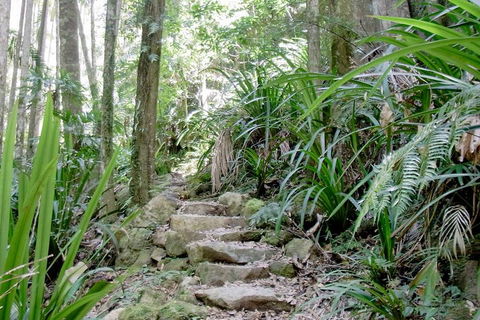 Byron Bay Combo: Minyon Falls And Hinterland Day Trip And Learn To Surf At Byron Bay - Accommodation Sunshine Coast 3
