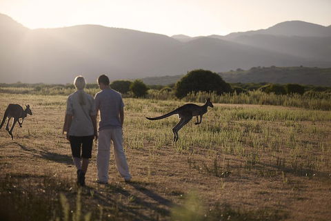 Overnight Daylesford And Macedon Ranges Gourmet Food Trail Tour From Melbourne - Accommodation Sunshine Coast 1