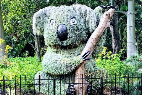 Discover Sydney - Botanic - Accommodation Sunshine Coast 1