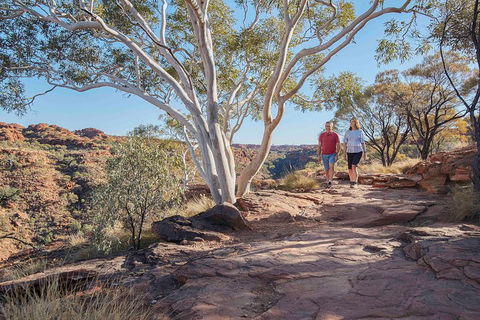 3-Day Tour From Uluru (Ayers Rock) To Alice Springs Via Kings Canyon - Accommodation Sunshine Coast 1