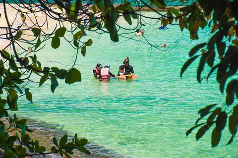 Green Island Day Trip From Cairns - Accommodation Sunshine Coast 2