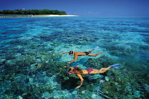 Green Island Day Trip From Cairns - Accommodation Sunshine Coast 5