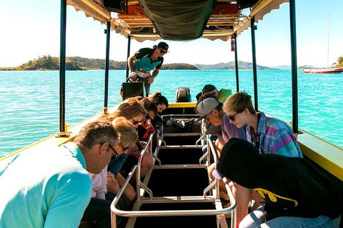 Airlie Beach Glass Bottom Boat Tour - Accommodation Sunshine Coast 1