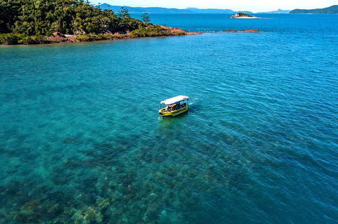Airlie Beach Glass Bottom Boat Tour - Accommodation Sunshine Coast 4