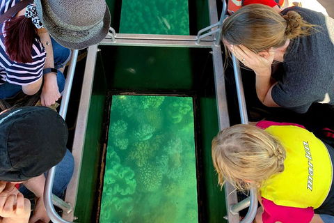 Airlie Beach Glass Bottom Boat Tour - Accommodation Sunshine Coast 5