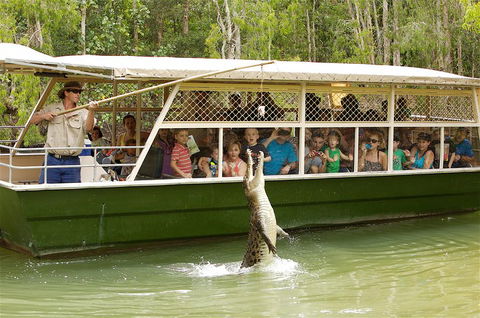 Hartley's Crocodile Adventure Half-Day Tour - Accommodation Sunshine Coast 0