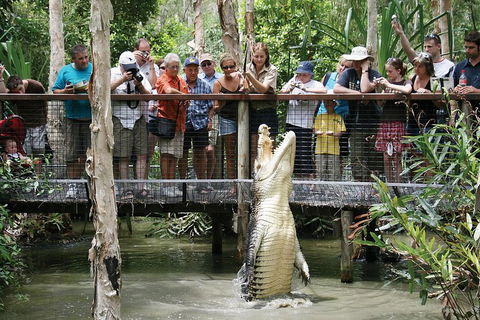 Hartley's Crocodile Adventure Half-Day Tour - Accommodation Sunshine Coast 1