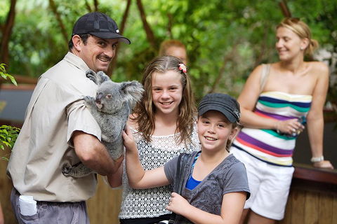 Hartley's Crocodile Adventure Half-Day Tour - Accommodation Sunshine Coast 3