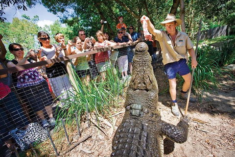 Hartley's Crocodile Adventure Half-Day Tour - Accommodation Sunshine Coast 4