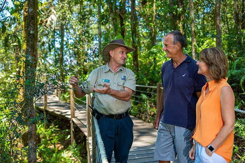 Kuranda Scenic Railway Day Trip From Cairns - Accommodation Sunshine Coast 1