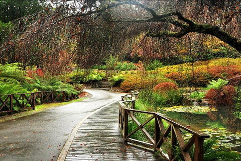 Discover Tour: Dandenong Ranges & William Ricketts Sanctuary - Accommodation Sunshine Coast 3