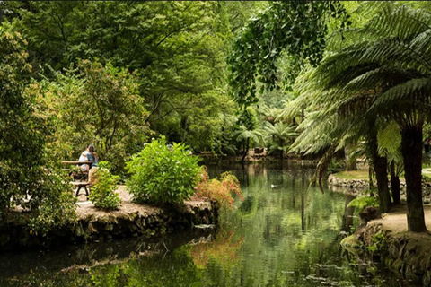 Discover Tour: Dandenong Ranges & William Ricketts Sanctuary - Accommodation Sunshine Coast 4