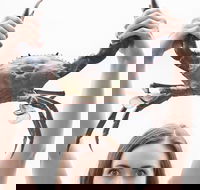 The Ultimate Gold Coast Attractions Pass - Accommodation Sunshine Coast