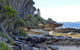 Day Trip To Cronulla & The Royal National Park - thumb 4