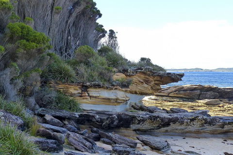 Day Trip To Cronulla & The Royal National Park - Accommodation Sunshine Coast 4