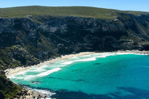 Kangaroo Island Scenic Trail Tour - Accommodation Sunshine Coast 4