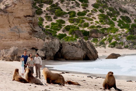 Kangaroo Island Scenic Trail Tour - Accommodation Sunshine Coast 5