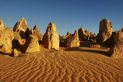 Full Day Pinnacle Desert Explorer From Perth Including Hillarys And Lancelin Sandboarding - Accommodation Sunshine Coast 3