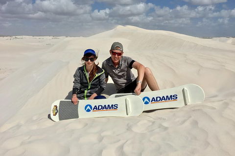 Full Day Pinnacle Desert Explorer From Perth Including Hillarys And Lancelin Sandboarding - Accommodation Sunshine Coast 4