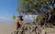 Full Day Cooktown Private Tour - thumb 2