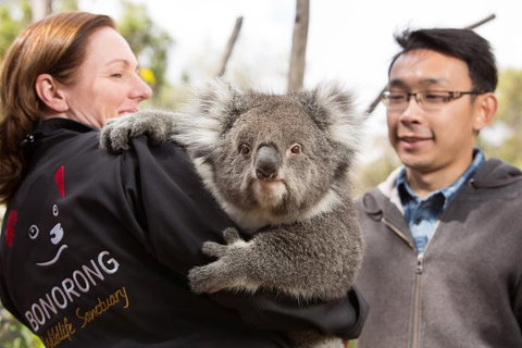 Bonorong Wildlife Park And Richmond Afternoon Tour From Hobart - Accommodation Sunshine Coast 0
