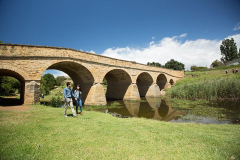 Bonorong Wildlife Park And Richmond Afternoon Tour From Hobart - Accommodation Sunshine Coast 2