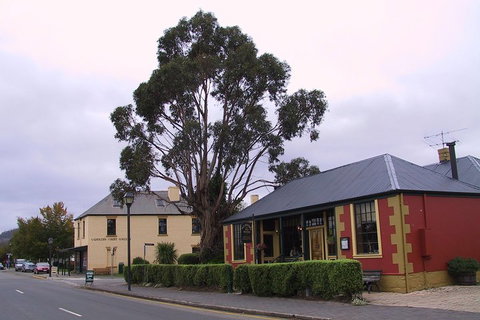 Bonorong Wildlife Park And Richmond Afternoon Tour From Hobart - Accommodation Sunshine Coast 3