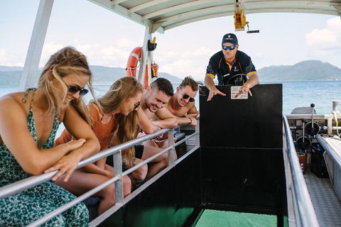 Fitzroy Island Day Trip From Cairns - Accommodation Sunshine Coast 4