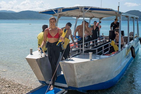 Fitzroy Island Day Trip From Cairns - Accommodation Sunshine Coast 5