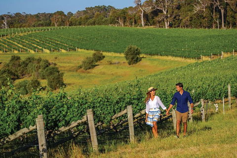 10 Day Perth To Adelaide Private Tour - The Great Australian Wilderness Journey - Accommodation Sunshine Coast 0