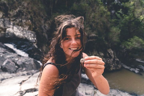 Springbrook AndTamborine Rainforest Tour Incl Natural Bridge And Glow Worm Cave - Accommodation Sunshine Coast 1