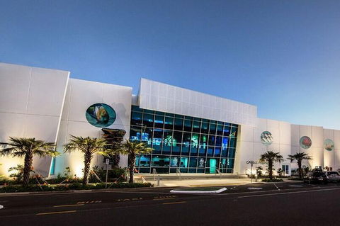 Cairns Aquarium Admission Ticket - Accommodation Sunshine Coast 4