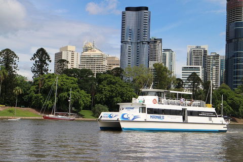 Lone Pine Koala Sanctuary Admission With Brisbane River Cruise - Accommodation Sunshine Coast 2