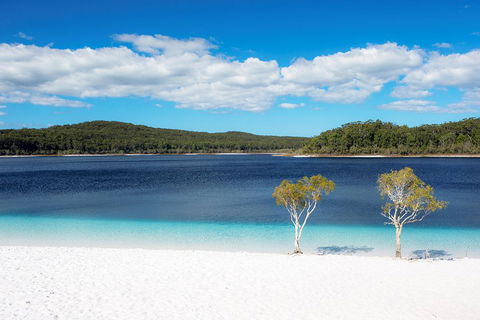 All-Inclusive Fraser Island Day Tour - Accommodation Sunshine Coast 3