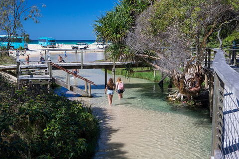 All-Inclusive Fraser Island Day Tour - Accommodation Sunshine Coast 4
