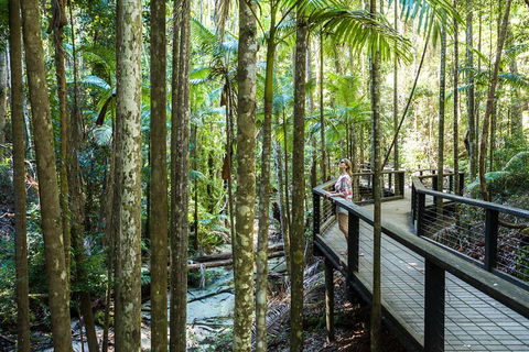 All-Inclusive Fraser Island Day Tour - Accommodation Sunshine Coast 5