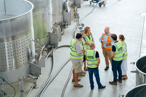 Josef Chromy Wines Winery Tour Including Tasting And Lunch - Accommodation Sunshine Coast 0