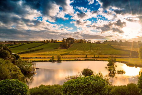 Josef Chromy Wines Winery Tour Including Tasting And Lunch - Accommodation Sunshine Coast 3