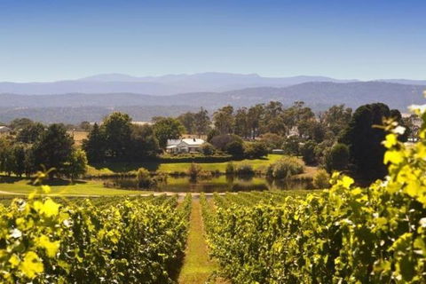 Josef Chromy Wines Winery Tour Including Tasting And Lunch - Accommodation Sunshine Coast 4