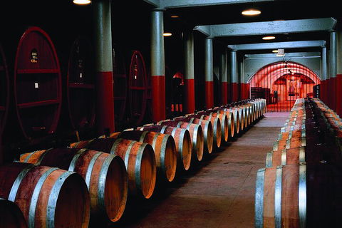 Penfolds Magill Estate Iconic Experience - Accommodation Sunshine Coast 4