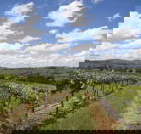 Hunter Valley Wine Tour from Sydney incl Lunch Cheese Chocolate and Distillery - Accommodation Sunshine Coast