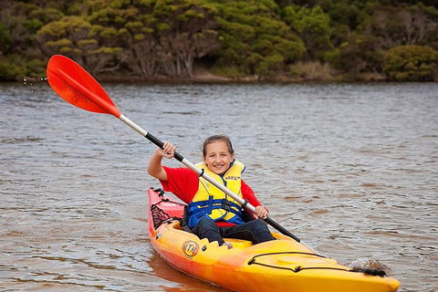 Kangaroo Island Self-Guided Kayaking On The Harriet River - Accommodation Sunshine Coast 1